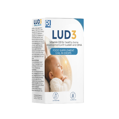 LUD 3